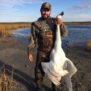 Meet your Posher, Shane